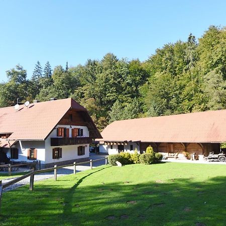 Domacija Seruga Countryside Hotel Novo Mesto Extérieur photo