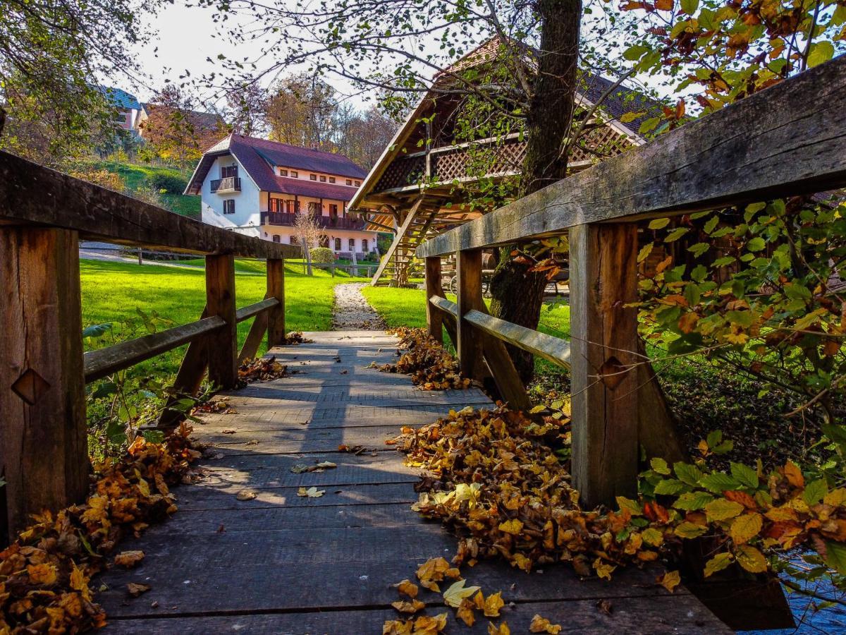 Domacija Seruga Countryside Hotel Novo Mesto Extérieur photo