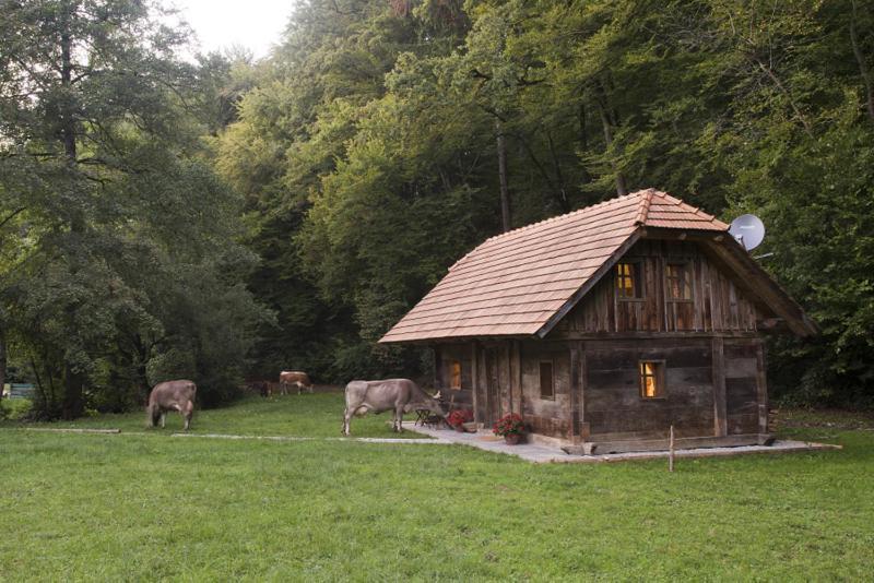 Domacija Seruga Countryside Hotel Novo Mesto Extérieur photo