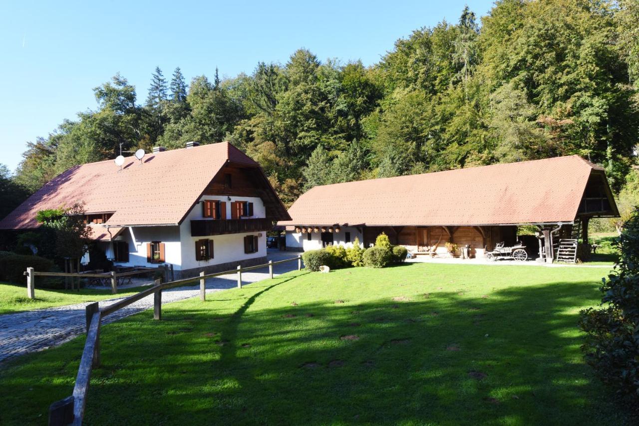Domacija Seruga Countryside Hotel Novo Mesto Extérieur photo
