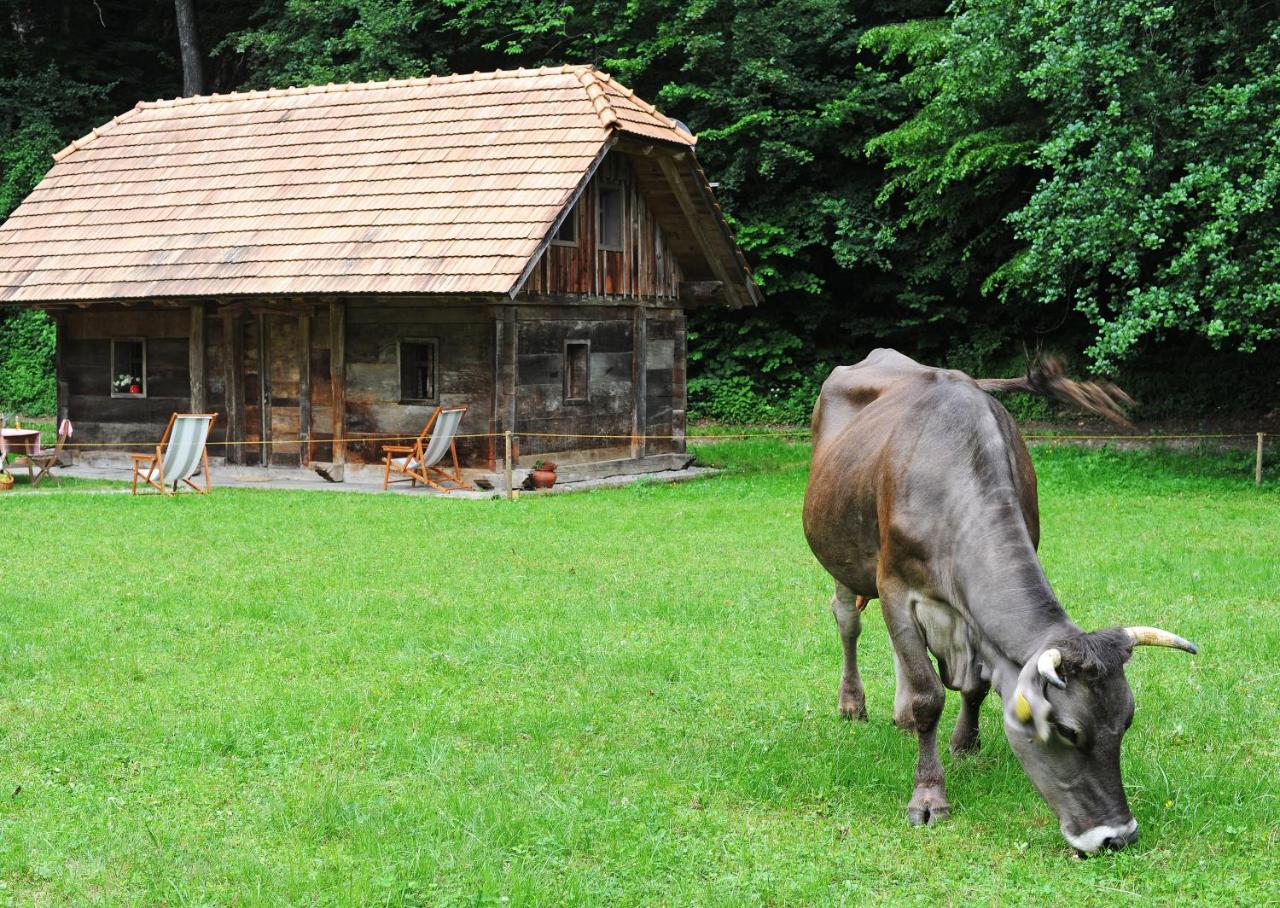 Domacija Seruga Countryside Hotel Novo Mesto Extérieur photo
