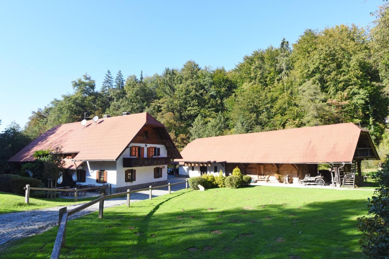 Domacija Seruga Countryside Hotel Novo Mesto Extérieur photo