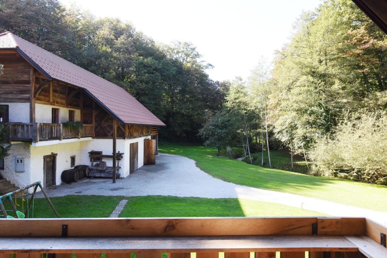 Domacija Seruga Countryside Hotel Novo Mesto Extérieur photo