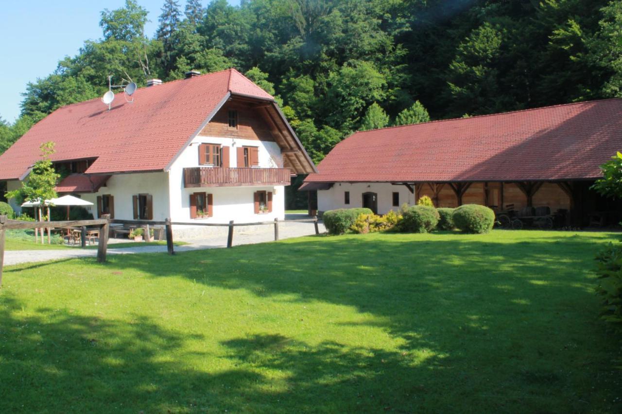 Domacija Seruga Countryside Hotel Novo Mesto Extérieur photo
